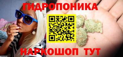 трава Свободный