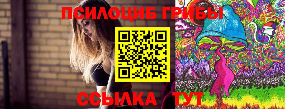 Липецк  наркота  Вход с VPN  Псилоцибиновые грибы Cubensis 